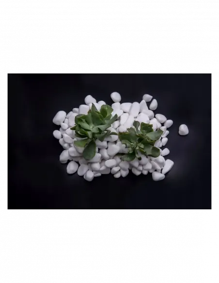 Otoczak Śnieżnobiały Thassos 20kg - zestaw 10 worków z darmową dostawą