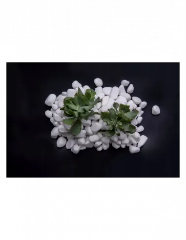 Otoczak Śnieżnobiały Thassos 20kg - zestaw 50 worków z darmową dostawą