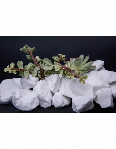 Grys Śnieżnobiały Thassos 20kg - zestaw 50 worków z darmową dostawą