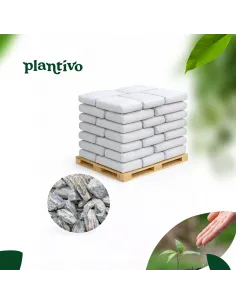 Kora kamienna gnejs 20kg - zestaw 10 worków z darmową dostawą