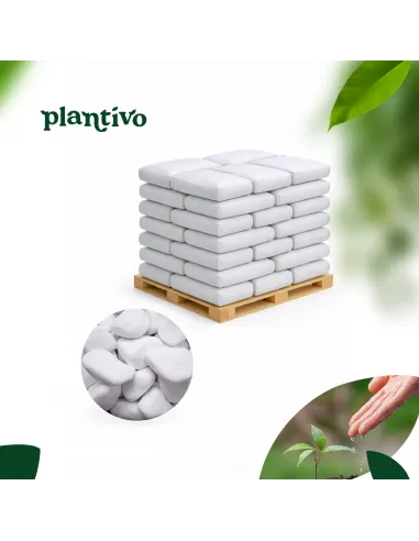 Otoczak Śnieżnobiały Thassos 20kg - zestaw 50 worków z darmową dostawą