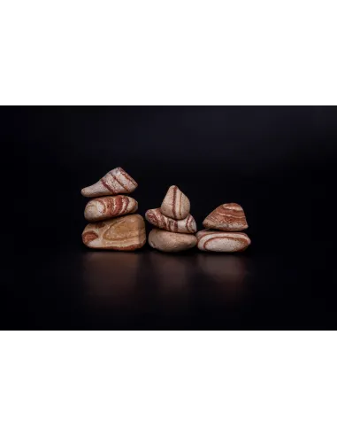 Otoczak Tęczowy 20kg