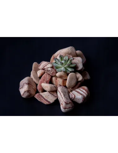 Otoczak Tęczowy 20kg