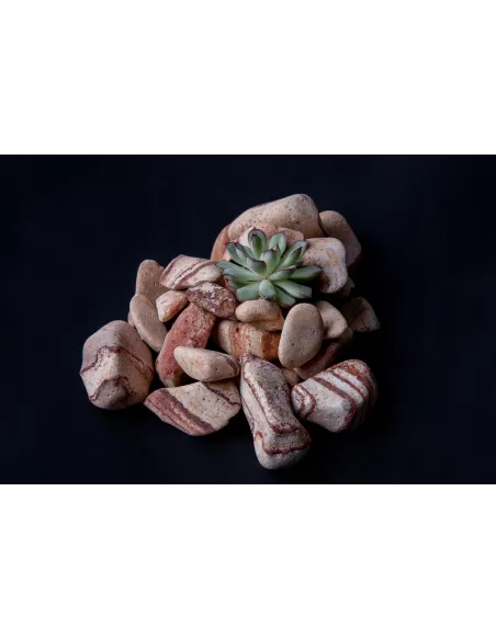 Otoczak Tęczowy 20kg