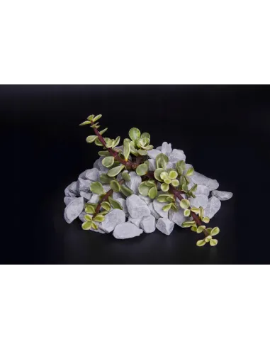 Grys Bianco Carrara 20kg