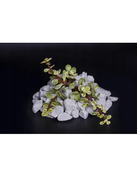 Grys Bianco Carrara 20kg