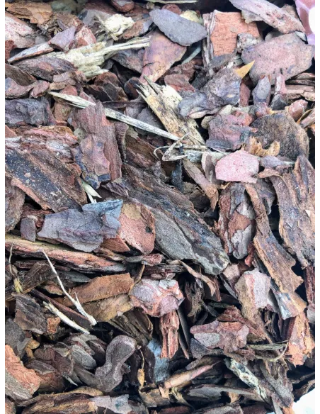 KORA SOSNOWA 10-30mm 70l