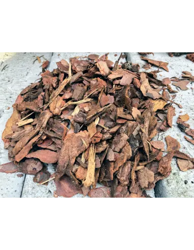 KORA SOSNOWA 10-30mm 70l