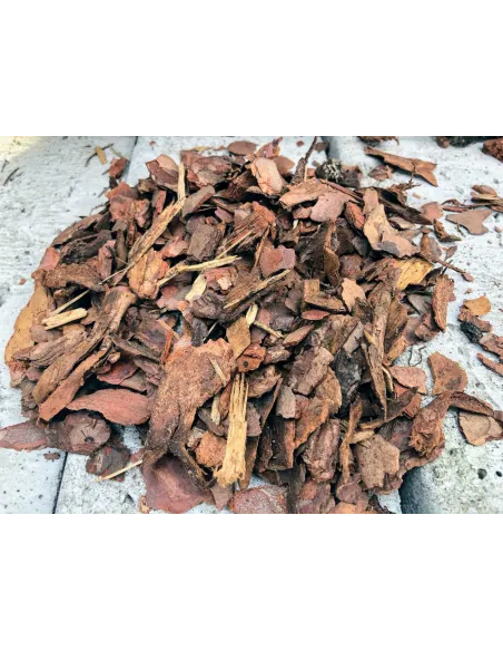 KORA SOSNOWA 10-30mm 70l