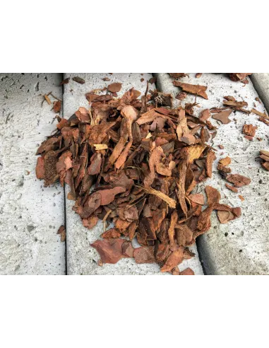 KORA SOSNOWA 10-30mm 70l