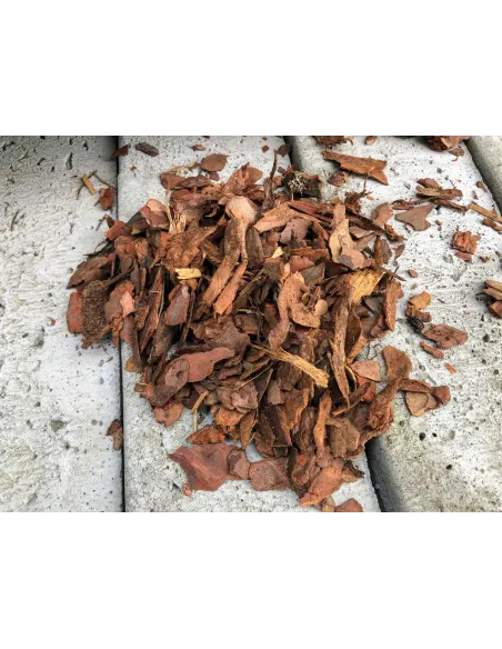 KORA SOSNOWA 10-30mm 70l