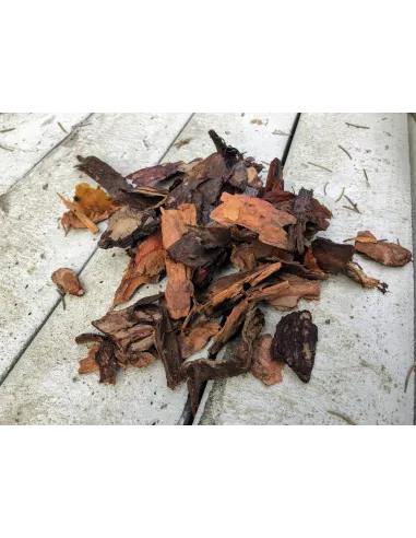 KORA SOSNOWA 30-50 70L