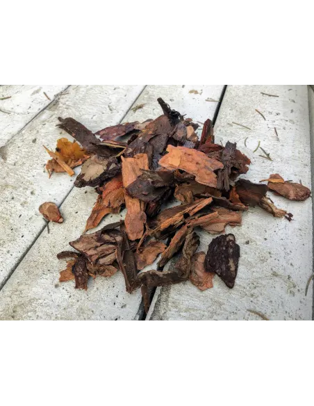 KORA SOSNOWA 30-50 70L