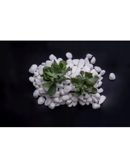 Otoczak Śnieżnobiały Thassos 20kg