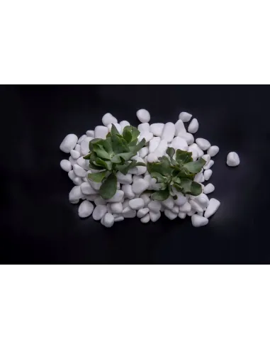 Otoczak Śnieżnobiały Thassos 20kg