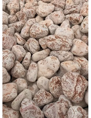 Otoczak Rosso Verona