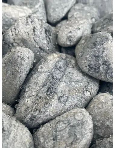 Otoczak Ocean 20kg - zestaw 25 worków z darmową dostawą